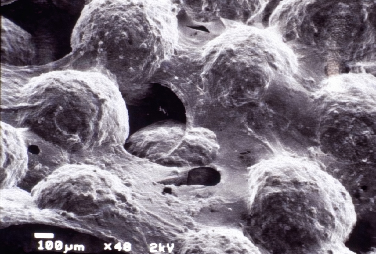 SEM micrograph showing proppant grains coated with guar polymer residue