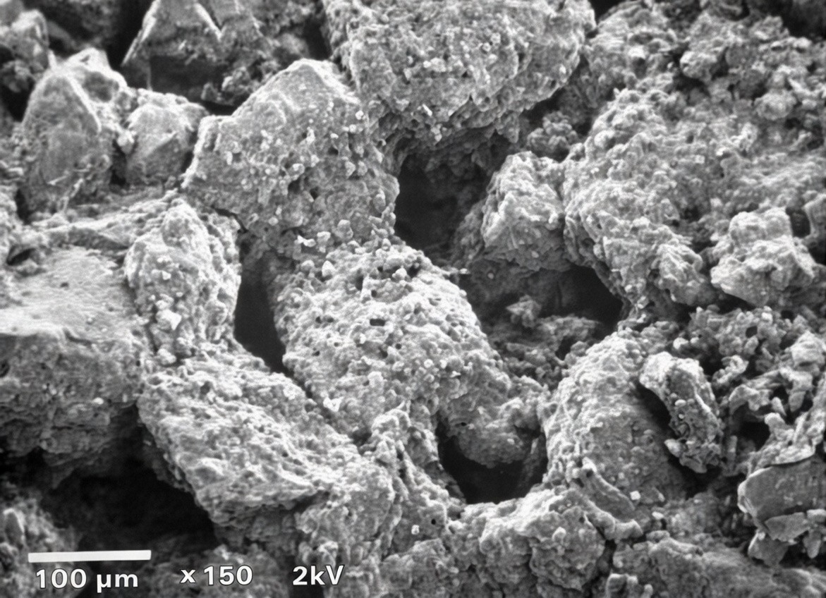SEM micrograph of sandstone core before Xanthanase treatment showing xanthan polymer coating sand grains
